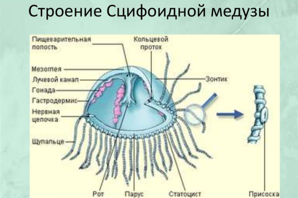 Кракен 17 рабочая ссылка